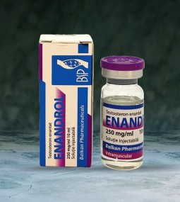 ENANDROL